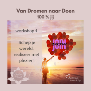Workshop 4: Schep je wereld. Realiseer met plezier